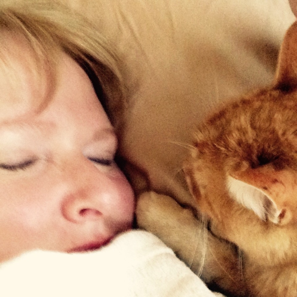 Meet your Posher, Terri